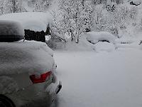 2019-01-25 08.59.32  IICSA